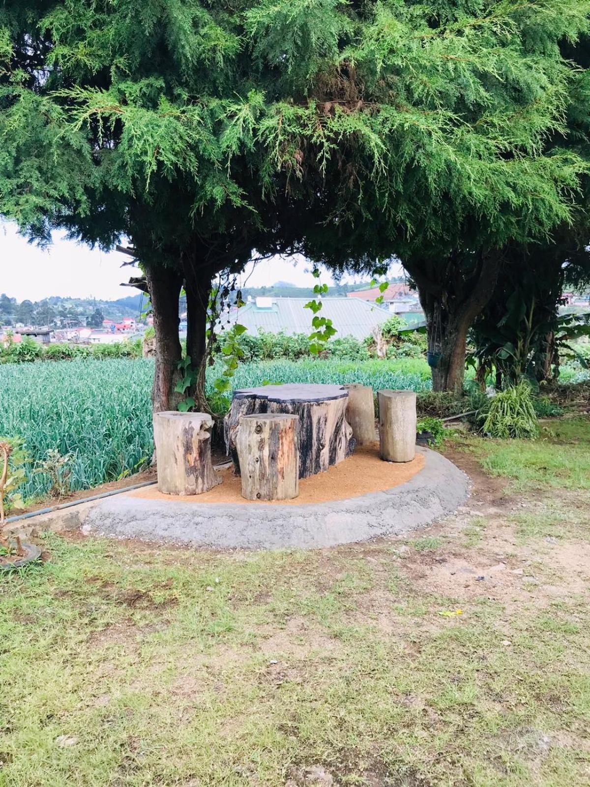 Silver Meir Bungalow Nuwara Eliya Dış mekan fotoğraf